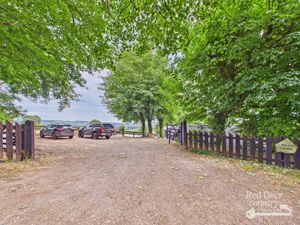 Yard- click for photo gallery